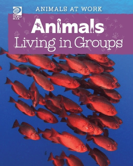 Animals Living in Groups by Alex Wolf