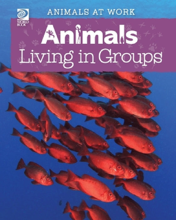 Animals Living in Groups by Alex Wolf