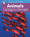 Animals Living in Groups by Alex Wolf