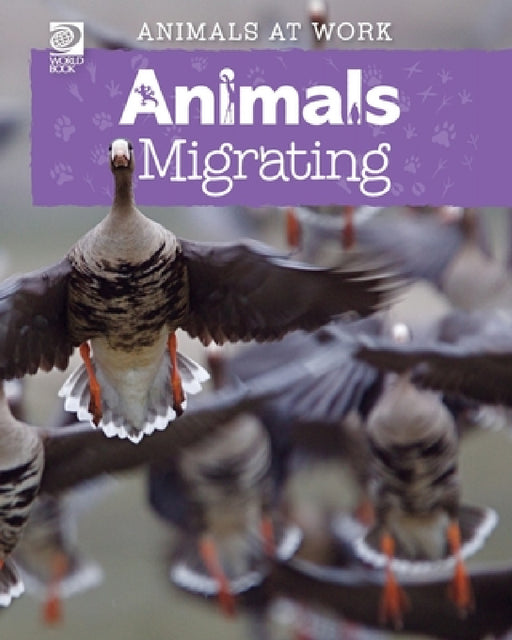 Animals Migrating by Alex Wolf