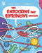 The Endocrine and Reproductive Systems by Joseph Midthun
