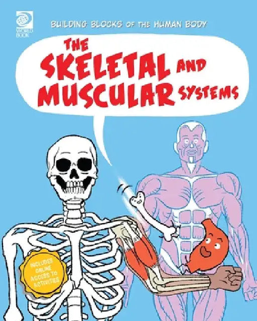 The Skeletal and Muscular Systems by Joseph Midthun