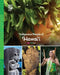 Indigenous Peoples of Hawaii by World Book