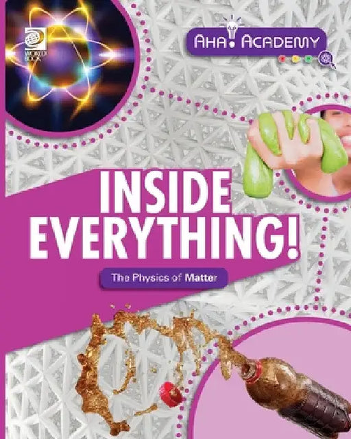 Inside Everything! The Physics of Matter by Angela Lim