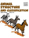 Animal Structure and Classification by Samuel Hiti, Joseph Midthun