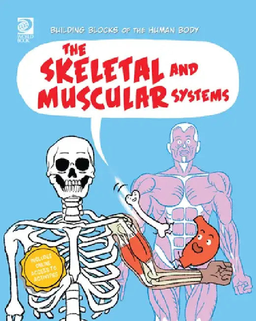 The Skeletal and Muscular Systems by Joseph Midthun