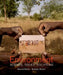 Environment: Science, Issues, Solutions by Manuel Molles