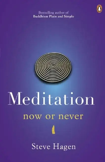 Meditation Now or Never by Steve Hagen