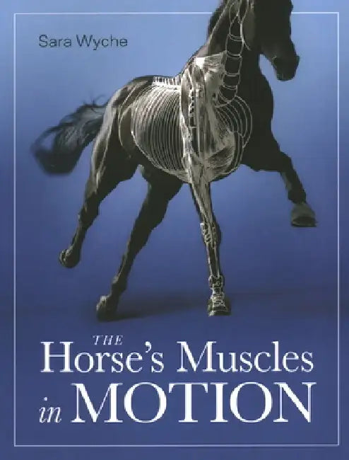 Horse's Muscles in Motion by Sara Wyche