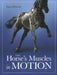Horse's Muscles in Motion by Sara Wyche