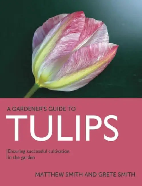 Tulips: Ensuring Successful Cultivation in the Garden by Matthew Smith