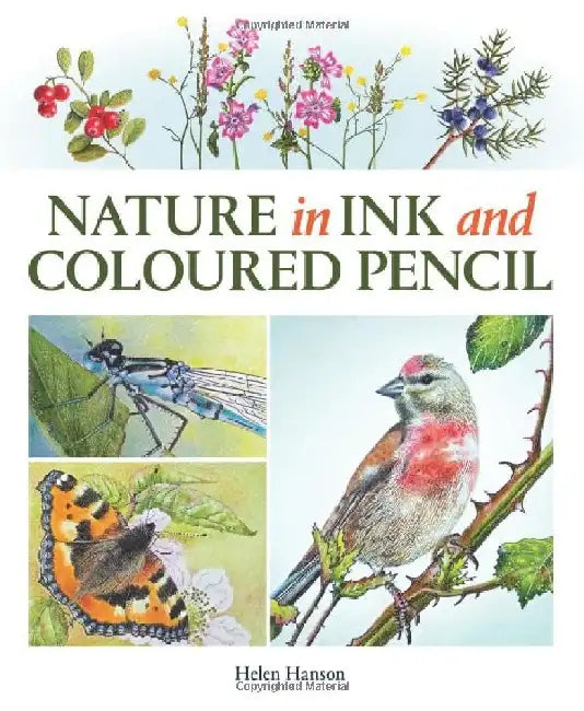 Nature in Ink and Coloured Pencil by Helen Hanson