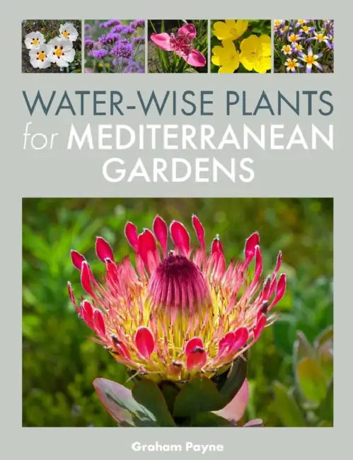 Water-Wise Plants for Mediterranean Gardens by Graham Payne