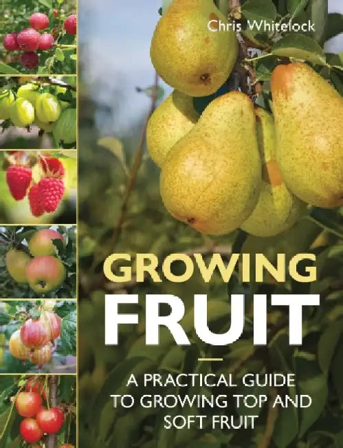 Growing Fruit: A Practical Guide to Growing Top and Soft Fruit by Chris Whitelock