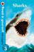 Sharks - Read it yourself with Ladybird: Level 3 (non-fiction) by David Gregory