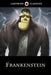 Frankenstein by Mary Shelley
