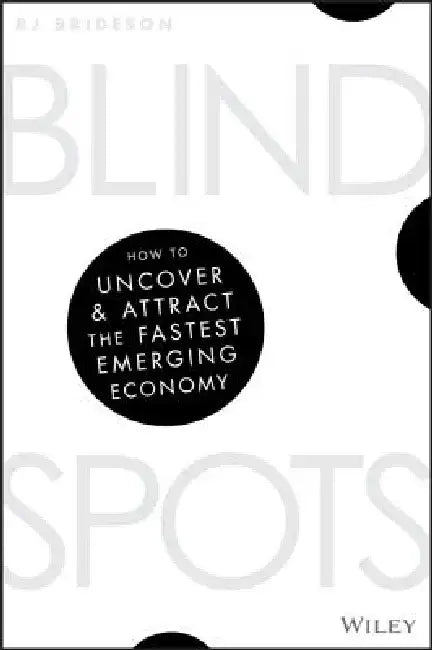 Blind Spots: How to Uncover and Attract the Fastest Emerging Economy by Rj Brideson