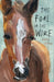 The Foal in the Wire by Robbie Coburn