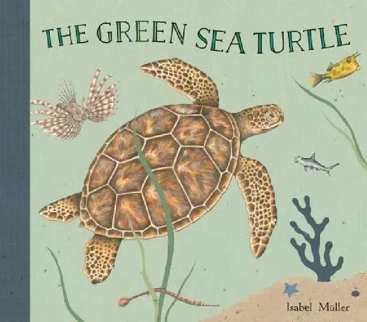 The Green Sea Turtle by Isabel Müller