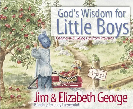 God's Wisdom for Little Boys: Character-Building Fun from Proverbs by Jim George