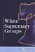 White Supremacy Groups by Mitchell Young