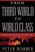 From Third World to World Class: The Future of Emerging Markets in the Global Economy by Peter Marber