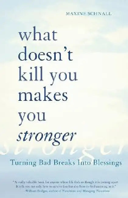 What Doesn't Kill You Makes You Stronger: Turning Bad Breaks Into Blessings by Maxine Schnall