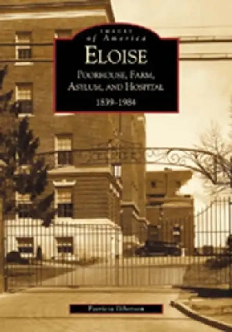 Eloise: Poorhouse, Farm, Asylum and Hospital 1839-1984 by Patricia Ibbotson