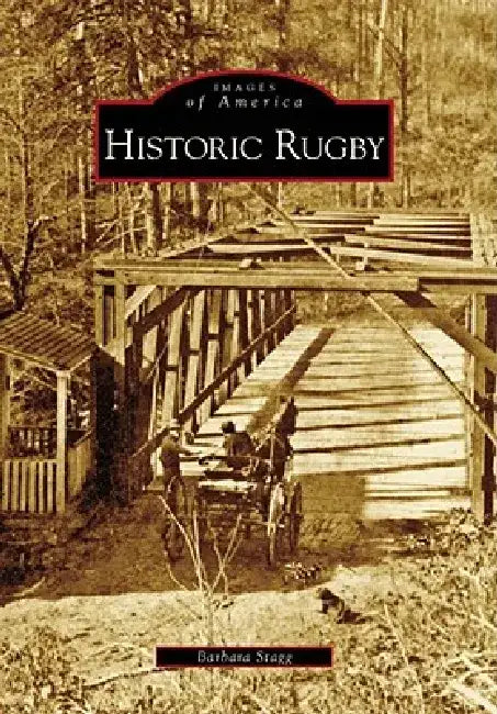 Historic Rugby by Barbara Stagg