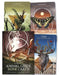 Animal Guide Rune Cards by Dawid Lipka