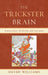 Trickster Brain: Neuroscience, Evolution, and Narrative by David Williams