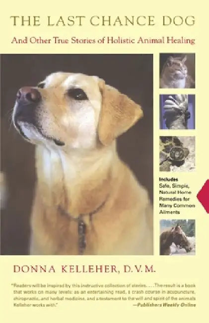 The Last Chance Dog: And Other True Stories of Holistic Animal Healing by Donna Kelleher