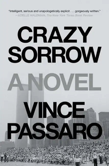 Crazy Sorrow by Vince Passaro