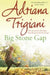 Big Stone Gap by Adriana Trigiani