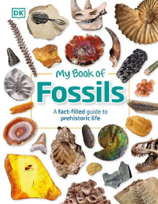 My Book of Fossils by DK