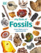 My Book of Fossils by DK