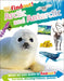 Dkfindout! Arctic and Antarctic by DK