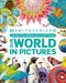 Our World in Pictures: An Encyclopedia of Everything by DK