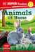 DK Super Readers Level 2 Animals at Home by DK