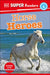 DK Super Readers Level 4: Horse Heroes by DK