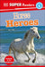 DK Super Readers Level 4: Horse Heroes by DK