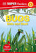 DK Super Readers Bugs Hide and Seek by DK