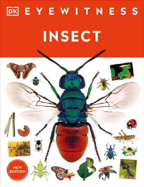 Insect by DK