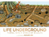 Life Underground: Tunnel Into a World of Wildlife by DK
