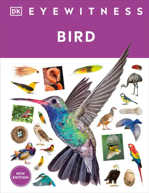Eyewitness Bird by DK