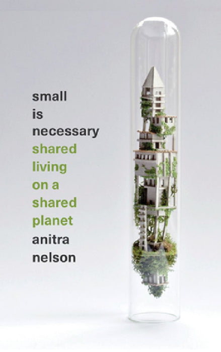 Small is Necessary Shared Living on a Shared Planet: Shared Living on a Shared Planet by Anitra Nelson