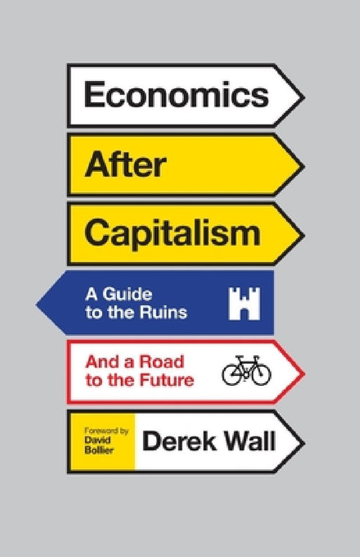 Economics After Capitalism: A Guide to the Ruins and a Road to the Future by Derek Wall