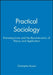 Practical Sociology: Post-empiricism and the Reconstruction of Theory and Application by Christopher Bryant