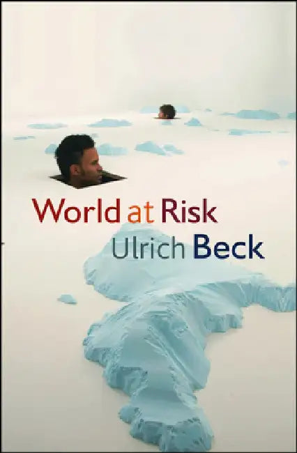 World at Risk by Ulrich Beck