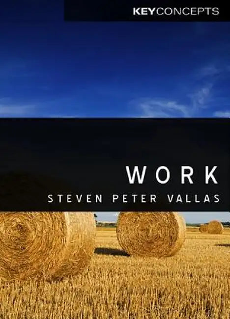 Work: A Critique by Steven Vallas